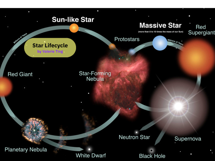 Star Life Cycle by Valerie Ting on Prezi