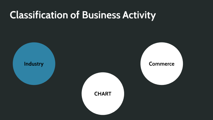 Classification Of Business Activity By Vini Makked