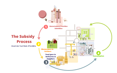 The Subsidy Process by Julie Luizzi on Prezi