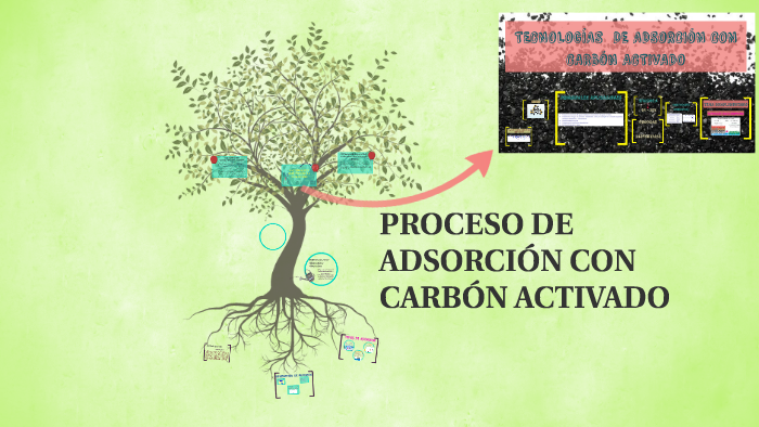 Proceso De AdsorciÓn Con CarbÓn Activado By Lizbet Turpo On Prezi 