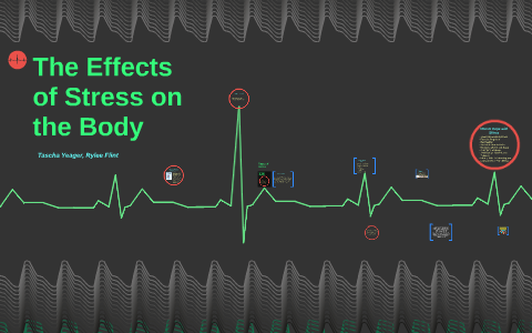 The Effects of Stress on the Body by Rylee Flint on Prezi