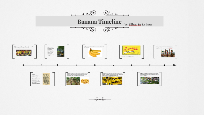 Banana Timeline By Lilly De La Rosa