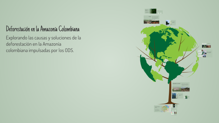 Deforestación en la Amazonía Colombiana by Carolina Rodriguez on Prezi
