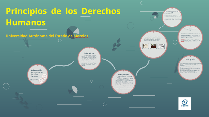 Principios De Los Derechos Humanos By On Prezi Porn Sex Picture 0312