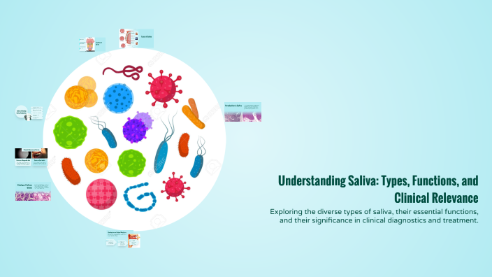 Saliva Types Understanding Saliva: Types, Functions, and Clinical Relevance by Drlx ...
