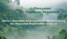 Okosystem Tropischer Regenwald Pl By Niklas Franke