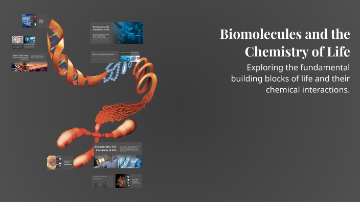 Biomolecules and the Chemistry of Life by Elise Mulligan on Prezi