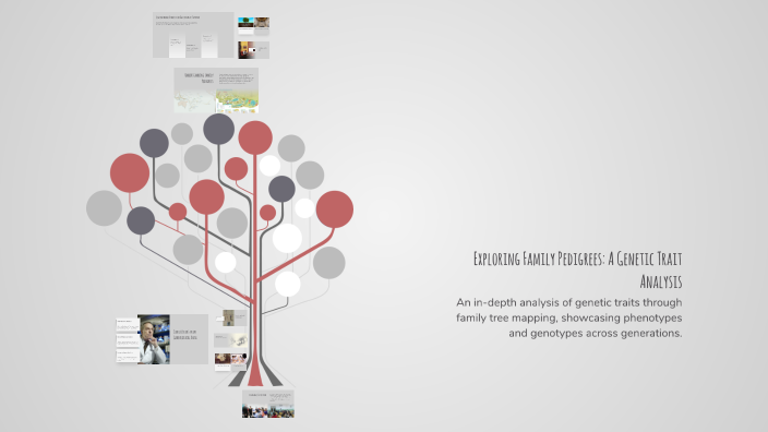 Exploring Family Pedigrees: A Genetic Trait Analysis by Agape G on Prezi
