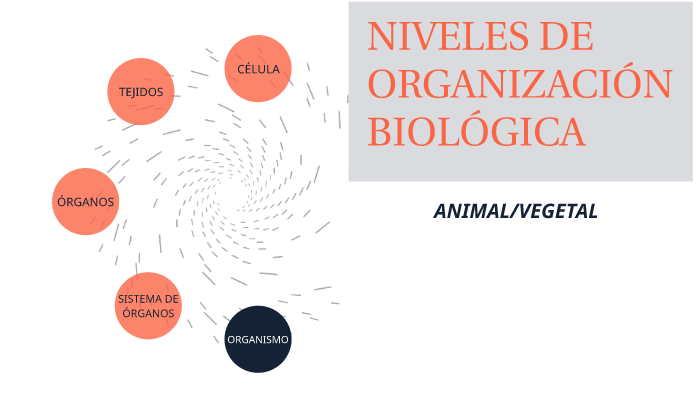 Niveles de organización biológica by BELEN CAMILA ALLASIA GODOY on Prezi