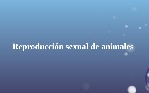 Reproducción sexual de animales by Ma. adelina martinez gómez on Prezi