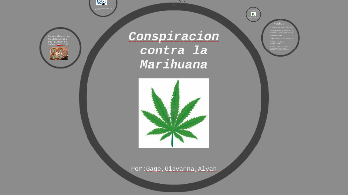 Conspiracion conta la Marihuana by Giovanna Tavera