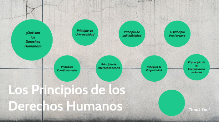 Los principios de los derechos humanos by Denise Salinas on Prezi