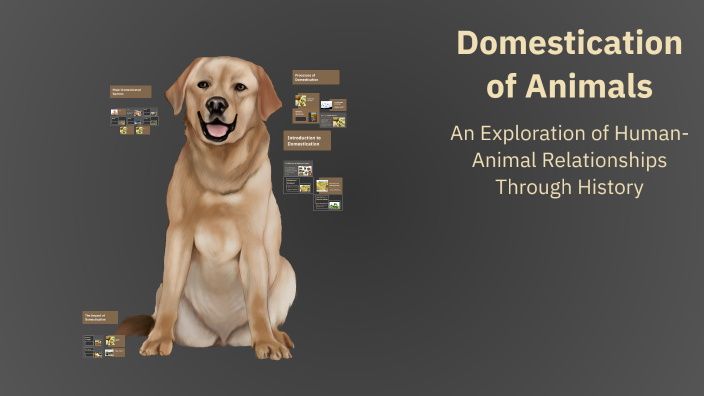 Domestication of Animals by София Романова on Prezi