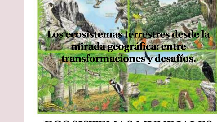 Los ecosistemas terrestres desde la mirada geográfica: entre by RANDALL ...