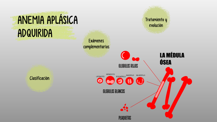 anemia aplásica médula ósea