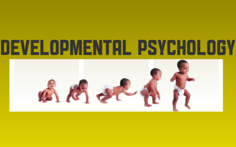 Option 2 Developmental psychology for the IB diploma by IB Notes