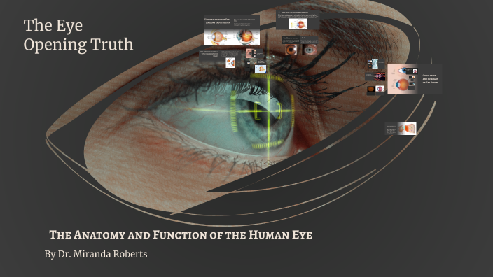 Anatomy and Function of the Eye by Miranda Roberts on Prezi