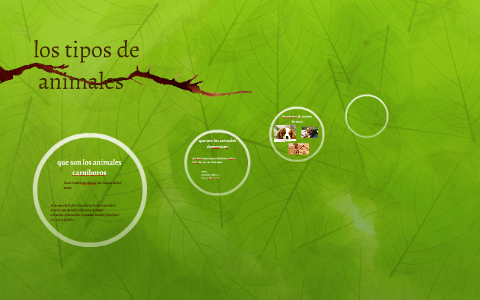 los animales carniboros by Antonella Criginee on Prezi