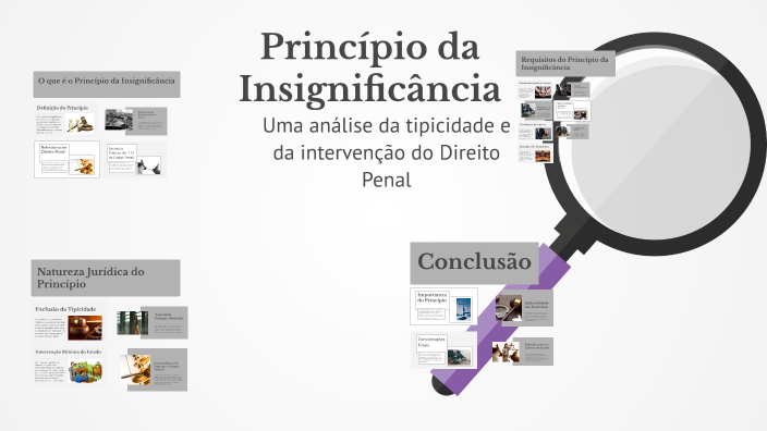 Insignificantia Princípio da Insignificância by DAVID GUSTAVO FREITAS on Prezi