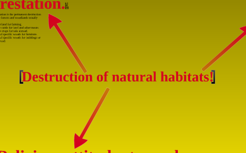 destruction of natural habitats essay