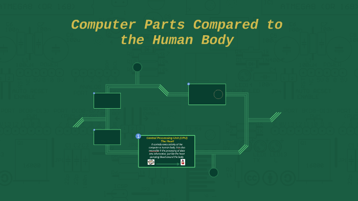 essay about computer parts similar to the human body