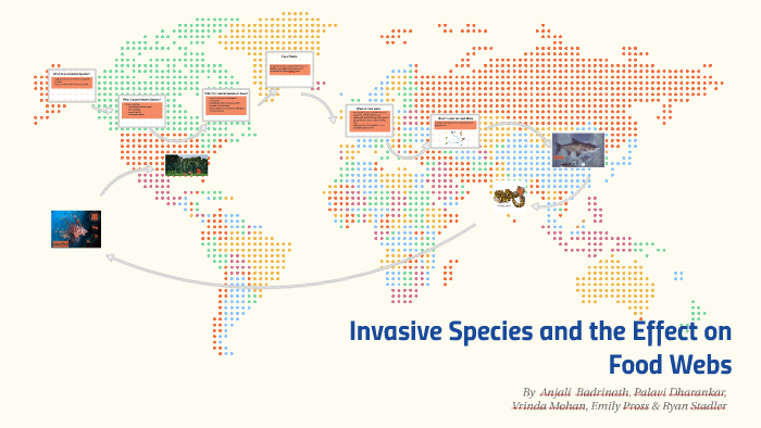 Invasive Species and the Effect on Food Webs by Vrinda Mohan on Prezi Biology Diagrams