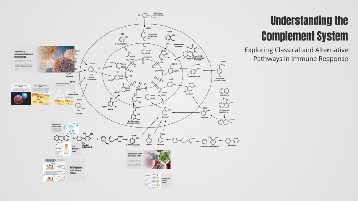 Understanding the Complement System by Big Boss on Prezi