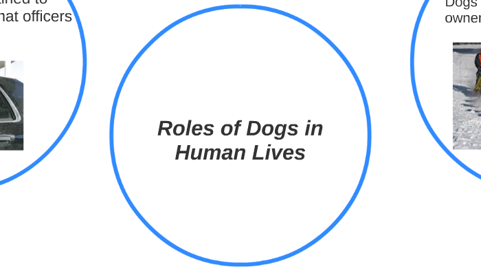 Roles of Dogs in Human Lives by Felicia Stelsel on Prezi