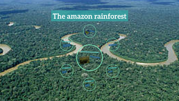 The amazon rainforest by on Prezi