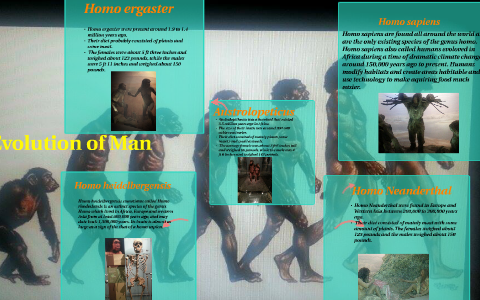 The Evolution of Man by Shanique Belinfantie on Prezi