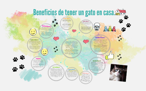 Beneficios de tener un gato en casa. by Andrea Verónica Urdaneta Hernández