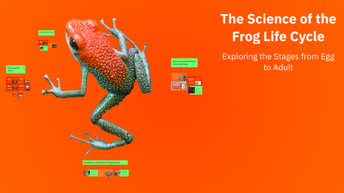 The Science of the Frog Life Cycle by Anabelle divina on Prezi