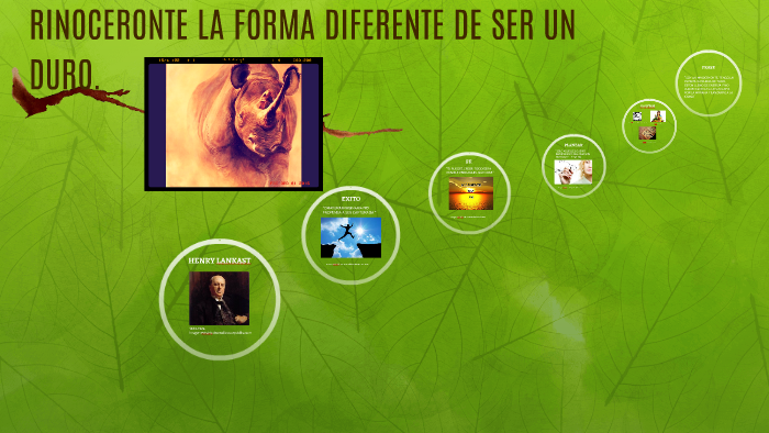 La Forma Diferente De Ser Un Duro Rinoceronte Pdf