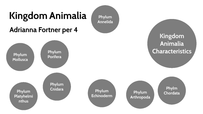 Zoology Prezi by adrianna fortner on Prezi