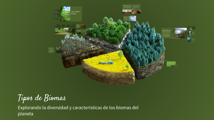 Tipos de Biomas by Jorge Emiliano silva Jiménez on Prezi