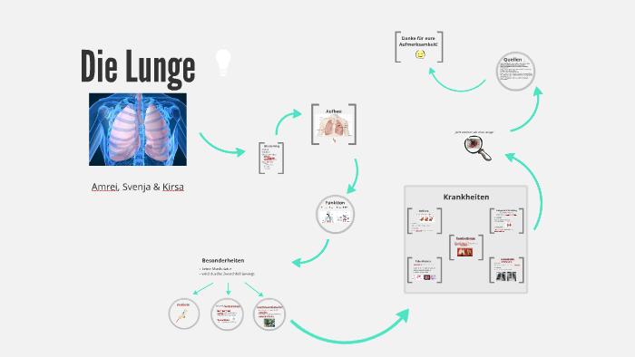 Die Lunge by Kirsa Muleit on Prezi