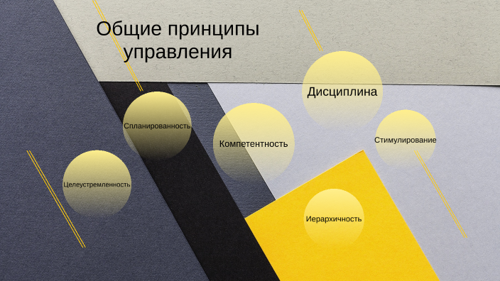 Общие принципы управления by Павел Нестеров on Prezi