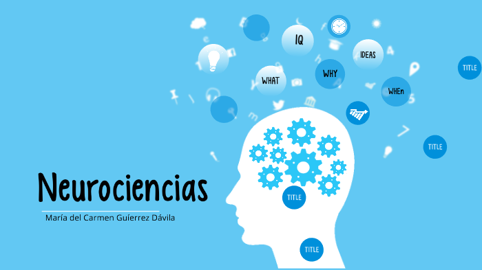 Neurociencias, estructuras y conexiones by lupita caballero on Prezi