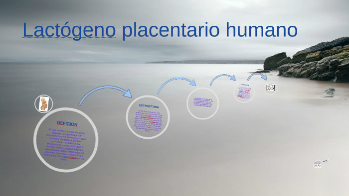 Lactógeno placentario humano by Drb David on Prezi