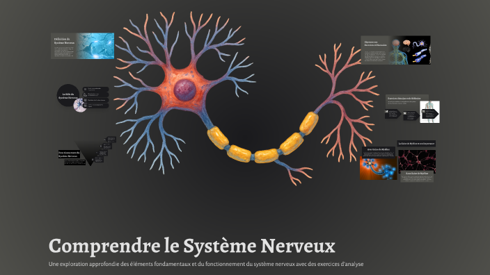 Comprendre le Système Nerveux by Sofia Driouich on Prezi