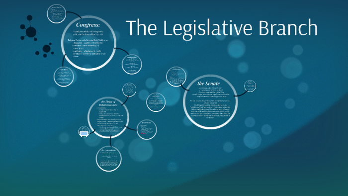 The Legislative Branch by julie drury