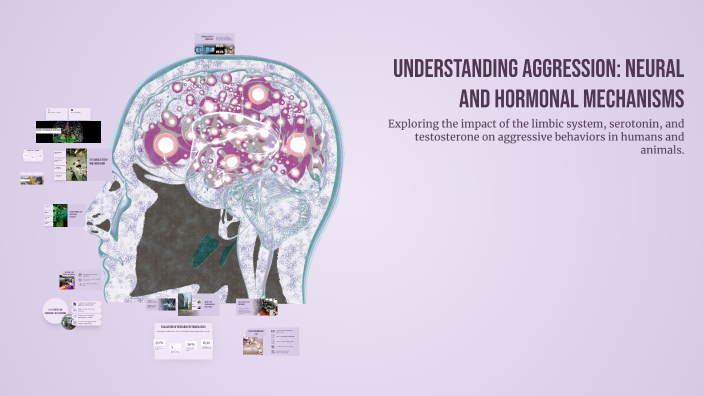 Neural Activity Aggression Understanding Aggression: Neural and Hormonal Mechanisms by lisa james ...
