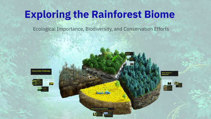 Exploring the Rainforest Biome by JASON SOILEAU on Prezi