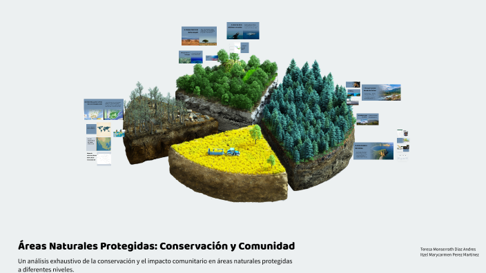 Áreas Naturales Protegidas: Conservación y Comunidad by Teresa Andres ...