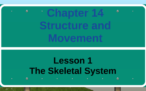 Chapter 14 Lesson 1 The Skeletal System by byron arriola