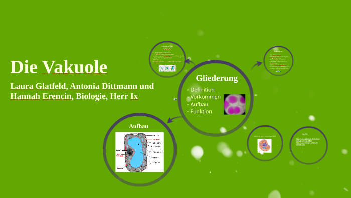 Was Macht Die Vakuole