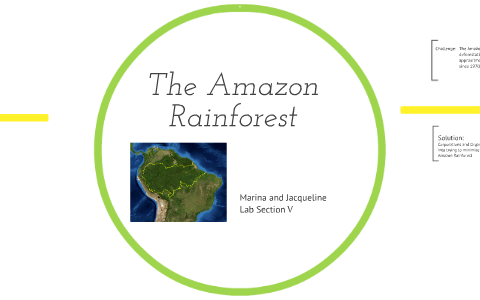 The Amazon Rainforest by jacqueline edson on Prezi