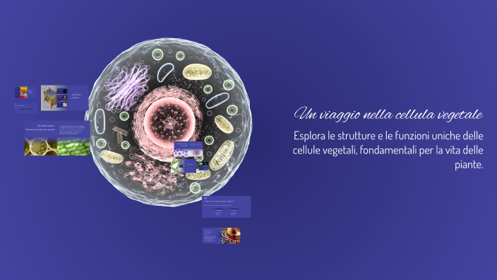 Un viaggio nella cellula vegetale by Rosaria Cannizzaro on Prezi