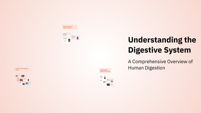 Understanding The Digestive System By Krisalee Shoemaker On Prezi