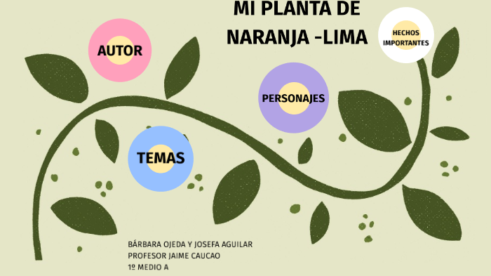 MI PLANTA DE NARANJA LIMA by josefa aguilar on Prezi